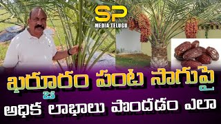 ఖర్జూరం పంట సాగుపై వ్యవసాయ అధికారుల ఆధ్వర్యంలో అవగాహన కార్యక్రమం  రామాయంపేట [upl. by Garibold]