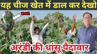 अरंडी की खेती arandi ki kheti castor farming [upl. by Nalepka]