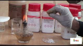 Experiment 1 Identify Sodium Calcium Strontium barium copper potassium radicals by flame test [upl. by Aranahs]