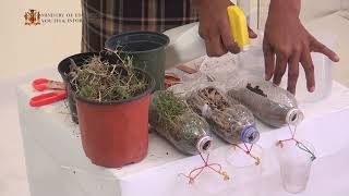 Science  Preventing Soil Erosion Grade 6 [upl. by Anirac]