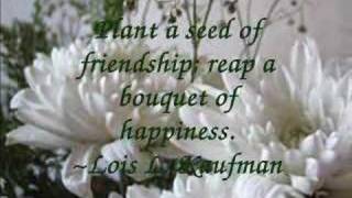 Inspirational Friendship Quotes [upl. by Ainesell]