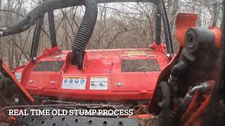 Noble Landworks Land clearing in Cincinnati Ohio [upl. by Seed843]