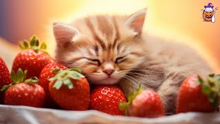 EXTREMELY Soothing Cat Therapy Music  Relax Your Cat Cat Music  Sleepy Cat [upl. by Henryson58]