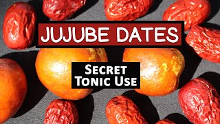 Red Jujube Fruit Secret Tonic Use of a Superfruit Variety [upl. by Ayekehs330]