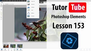 Photoshop Elements Tutorial  Lesson 153  Open Files in Photoshop and opening Photoshop Files [upl. by Halona866]