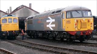 Didcot Railway Centre Diesel Gala 30th May 2016 [upl. by Elbart935]