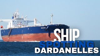 Shipspotting Tanker Captain Performs Good Maneuver  Relaxing [upl. by Meil]