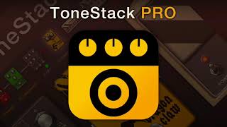 ToneStack PRO Guitar Amps amp FX Premier FX Toolkit with AUv3 [upl. by Brynn411]