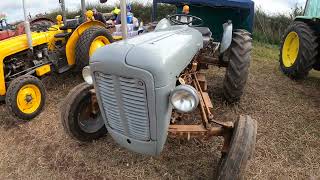 1957 Ferguson FE35 Gold Belly 23 Litre 4Cyl Diesel Tractor 34 HP [upl. by Peria238]