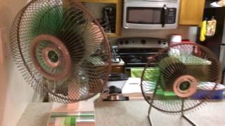 My Green Sears Desk Fans [upl. by Eenafets]