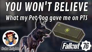 Fallout 76 PTS You wont believe what my CAMP Pet Dog gave me [upl. by Haizek]