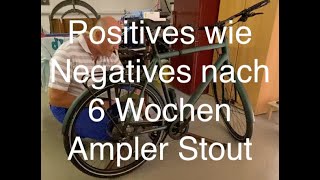 Positives wie Negatives nach 6 Wochen Ampler Stout [upl. by Ydniw]