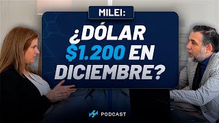 Dolar e Inflacion en Argentina ¿Que pasará en 2024 [upl. by Eenet]