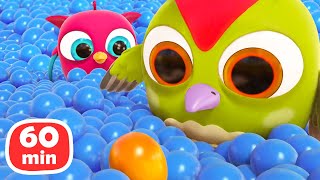 Baby cartoons Full episodes cartoon amp Hop Hop the Owl 1Hour cartoon for kids [upl. by Atinyl]