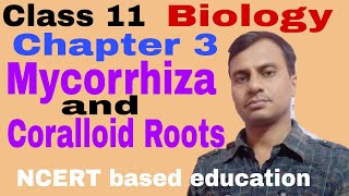 Mycorrhiza and Coralloid roots [upl. by Modeerf]