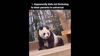 Apparently kids not listening to their parents is universal 🤣trending funnyvideos [upl. by Cesaria]