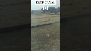 ERCP CANAL PROJECT STARTED ercp rajasthan [upl. by Alwyn50]