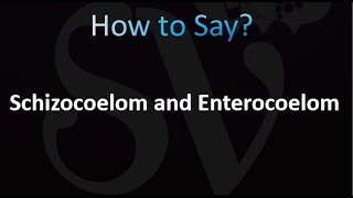 How to Pronounce Schizocoelom and Enterocoelom [upl. by Ynaoj]