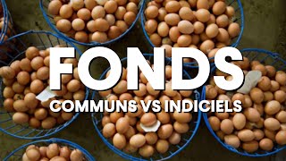 Fonds communs VS Fonds Indiciels [upl. by Kurys]