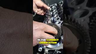 Torque Sequence and timing BMW E90 M47 Engine Rebuild series Pt7 bmw e90 shorts [upl. by Shing655]