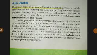 Plastids  NCERT Biology Class11  Chapter1 CELL The Unit of Life  Bio for NEET [upl. by Ahtennek]