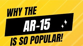 The surprising truth about the AR15 militarycapability ar15pistol [upl. by Ahsir]