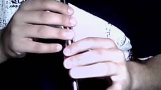 The Rights of Man  tin whistle tutorial [upl. by Ellehsad450]