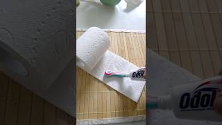 Schmiere Zahnpasta auf Klopapier und Staune was passiert shorts tippsundtricks lifehacks [upl. by Amerak]