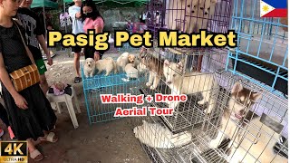 Pasig Pet Market Virtual Tour [upl. by Sapers991]