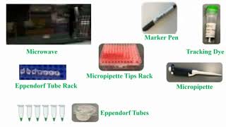 Tools Use for Gel Electrophoresis [upl. by Nirehs]