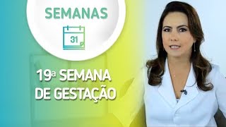 19ª Semana de gestação [upl. by Fen854]