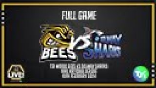 TSI World Bees vs Solway Sharks 10022024 Full Game [upl. by Nonnaihr169]