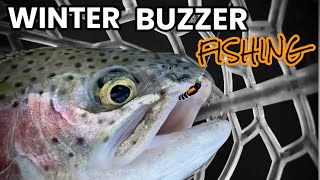 Naturals Can out Fish Lures In Winter  Buzzer Fishing [upl. by Keon]