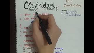 CLOSTRIDIUM PERFRINGENS amp WELCHII  CLASSIFICATION  MORPHO TOXIN VIRULENCE FACTOR LAB DIAGNOSIS [upl. by Kampmann57]