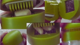 Cute Mini Garlic Chopper compact youtubeyoutubevideoskitchengadgetscutekitchengadgets [upl. by Rodoeht]