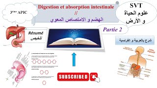 Absorption intestinale quot partie 2 de la digestion quot pour les élèves de 3 APIC [upl. by Valera865]