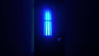 My new solar powered bug zapper works great [upl. by Aniras712]