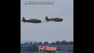 When You are in a Picnic and Two T6 Texans Buzz the River aviation military history [upl. by Heinrich733]