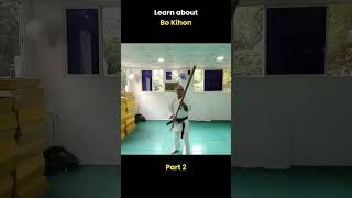 Day 84 of learning about Martial Arts  Learn about Bo Kihon Part 2 shorts [upl. by Blank333]