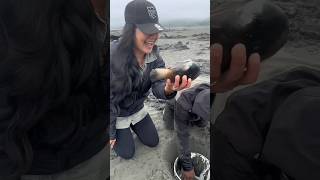 First Time Digging For Horseneck Gaper Clams shorts laos thailand clam claming foodie beach [upl. by Reeves]