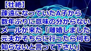 【壮絶】 疎遠になっていたA子から数年ぶりに意味の分からないメールが来た「離婚しました、元夫がそちらに行ったら何も知らないと言って下さい」 [upl. by Christie]