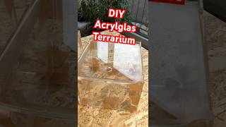 Acrylglasterrarien DIYProjektterraristik terrarium acrylglas skorpione vogelspinnen diy [upl. by Nwahsd454]