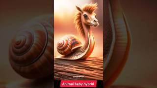 Incredible Animal Fusion MindBlowing Creatures Formed by Fusing Different Species🤯🧬 shorthybrids [upl. by Annoya]