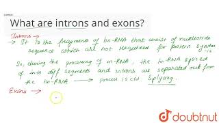 What are introns and exons [upl. by Emirac883]