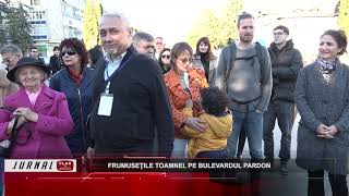 Frumuseţile toamnei pe Bulevardul Pardon  11 11 2024 [upl. by Fidela]