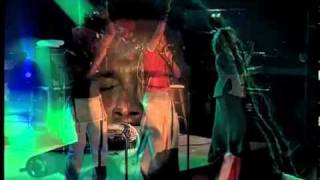 Ziggy Marley amp The Melody Makers  quotHigher Vibrationsquot [upl. by Cammy]