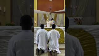 Benediction of the blessed Sacrament music catholicnews choir bigard catholicmass seminary [upl. by Nikolai]