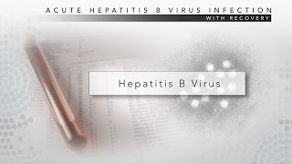 Hepatitis B CDC Viral Hepatitis Serology Training [upl. by Repooc468]