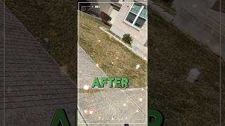 Lawn Mowing overgrown grass front yard molawncareservices lawncare fypシ゚viral landscaping [upl. by Namra]