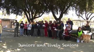 Fresno Petanque Club Fight Song [upl. by Drona]